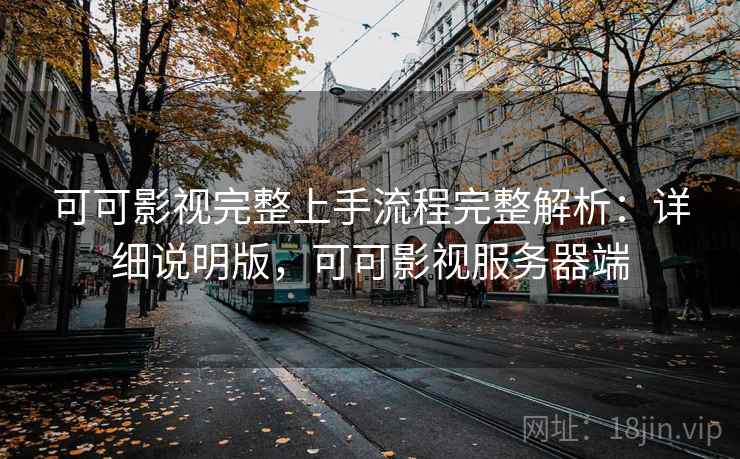 可可影视完整上手流程完整解析:详细说明版,可可影视服务器端 第1张 可可影视完整上手流程完整解析:详细说明版,可可影视服务器端 第1张